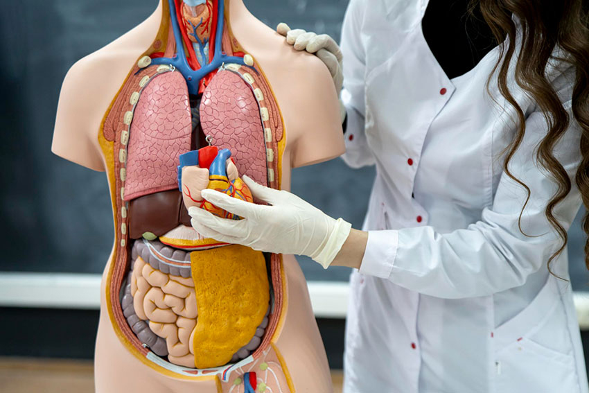 medicina interna grande - Policlínico Magnus Medic